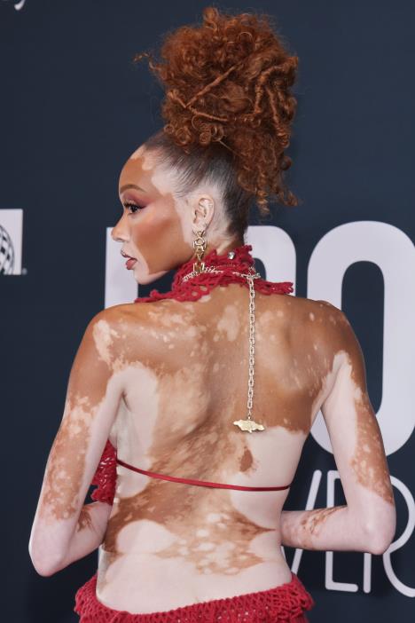 Vini Harlou na EBONY Power 100 Gala večeri