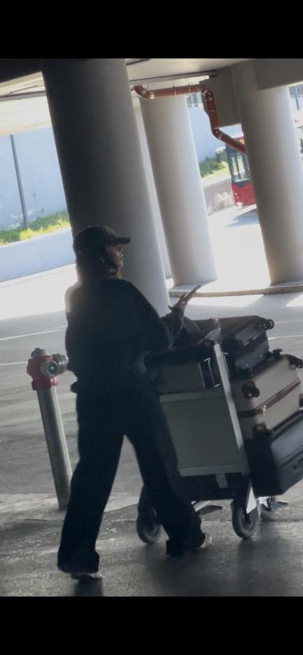 Teodora Džehverović