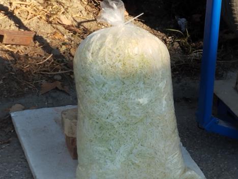 Prodaje se i rezani kupus