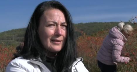 Screenshot 2025-11-10 135210.jpg