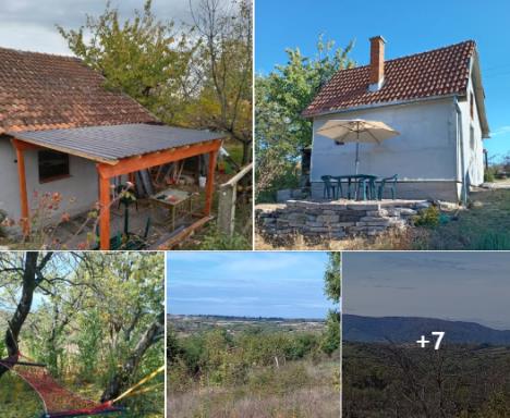 Screenshot 2025-11-10 140247.jpg