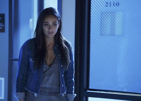 Šej Mičel u seriji Slatke male lažljivice