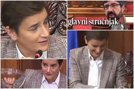 Ana Brnabić Skupština TikTok