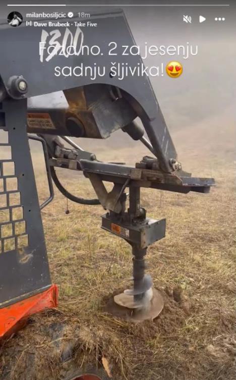 Milan Bosiljčić sadi šljivik (2).jpg