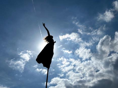 A RoZeO @Francis BEDDOK_03.jpg