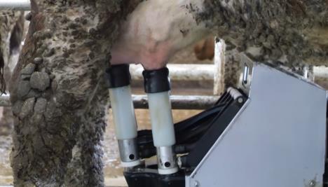 robot za krave 2.png