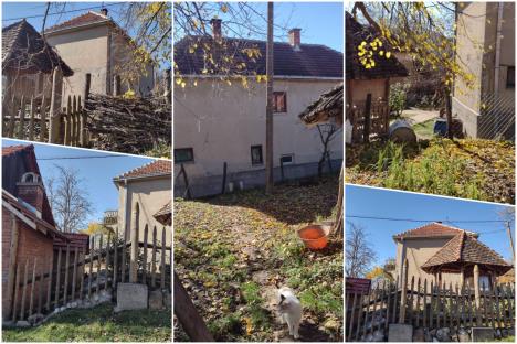 Babušnica mesto zločina