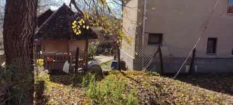 Babušnica mesto zločina