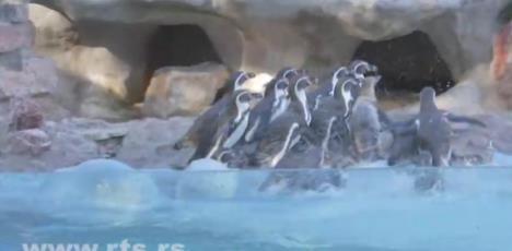 Screenshot 2025-11-16 085313.png