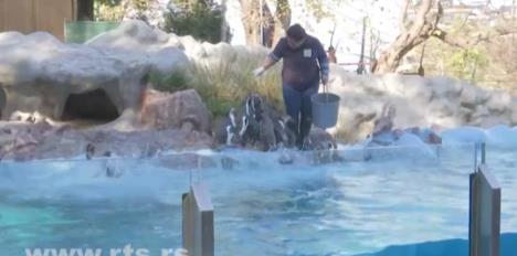 Screenshot 2025-11-16 085341.jpg