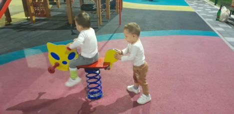 Suzana Mitrović sa blizancima