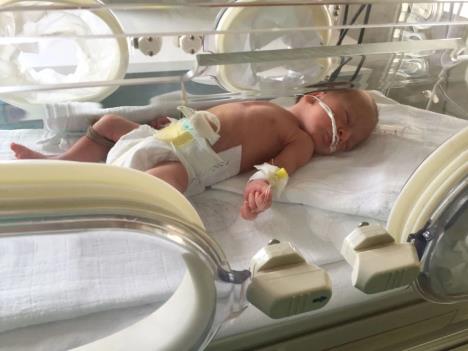 Beba u inkubatoru