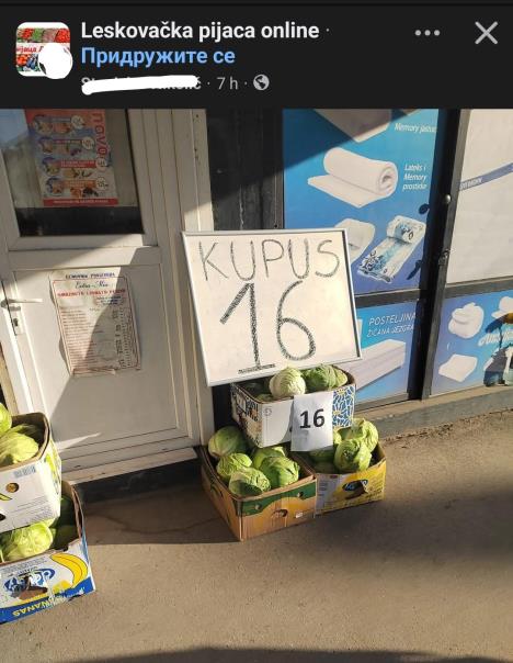 kupus 16 dinara u Leksovcu