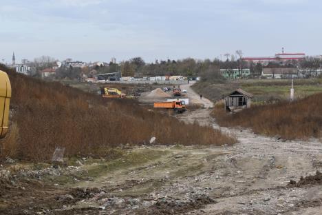 Павков Суботица 6.jpg