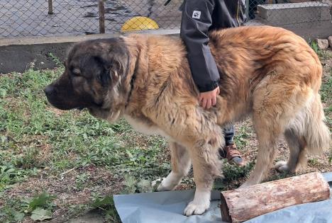 UNUK DOŠAO KOD BABE U VRANJE, PA JE ODUŠEVIO JEDNOM REČENICOM: "Suze su mi krenule ali sam se suzdržavala"