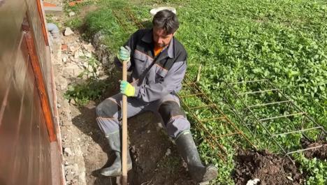 Screenshot 2025-11-18 123530.jpg