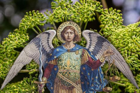 Arhangel Mihailo biljka anđelika