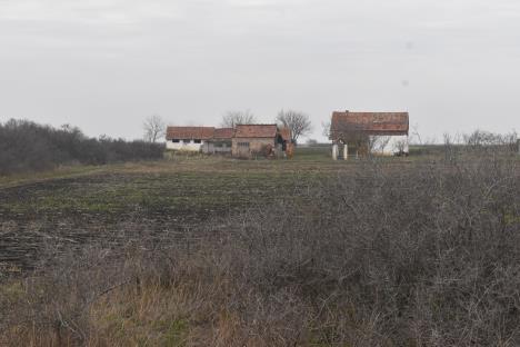 kikinda ubistvo (1).JPG