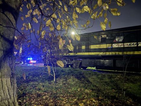 voz, pruga ,sremska mitrovica