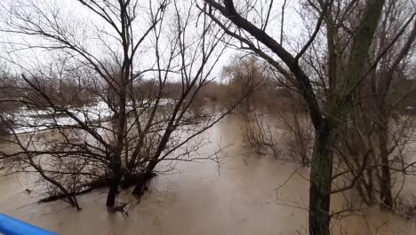 Screenshot 2025-11-20 133234.jpg