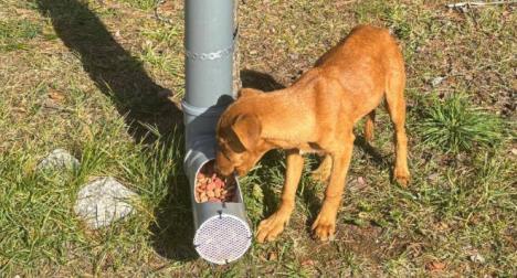 Screenshot 2025-11-20 150057.jpg