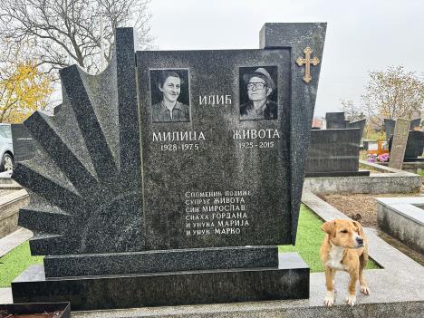 Mrcajevci, foto Marko KArovic (2).jpeg