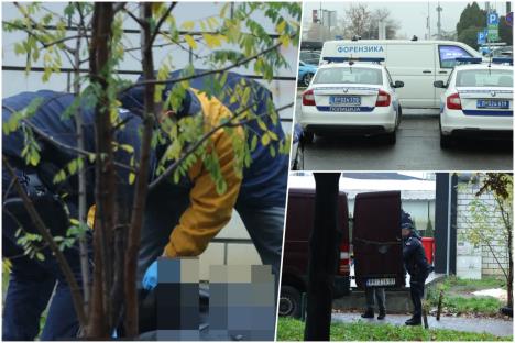 Tadija P. Ubistvo na Novom Beogradu