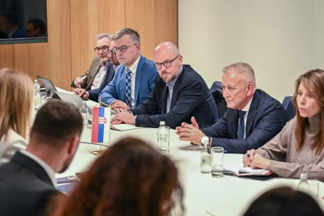 Dubravka Đedović Handanović NIS