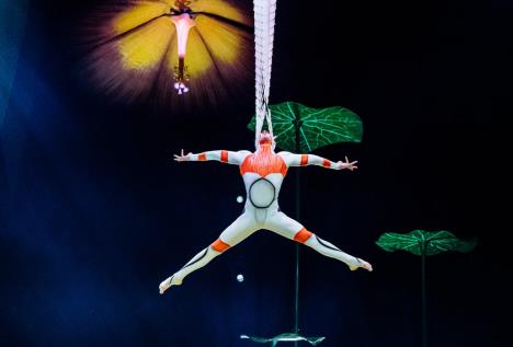 Screenshot 2025-11-24 105803.png