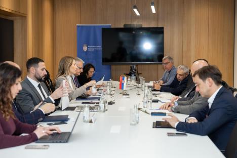 Dubravka Đedović Handanović