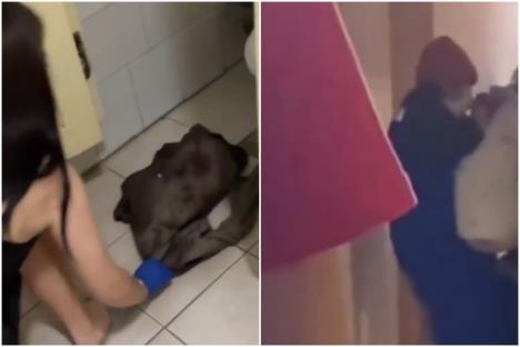 beba pronađena u studentskom domu