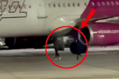 aerodrom rumuni trče ka avionu