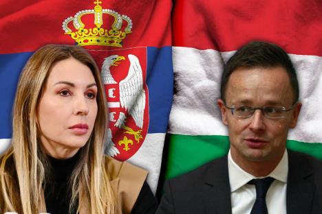 Dubravka Đedović Handanović Peter Sijarto