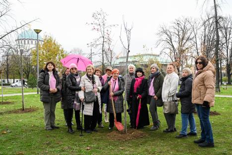 Budimo zajedno - 15 god - sadnja jap tresnji 2611 2025-63 (1).jpg