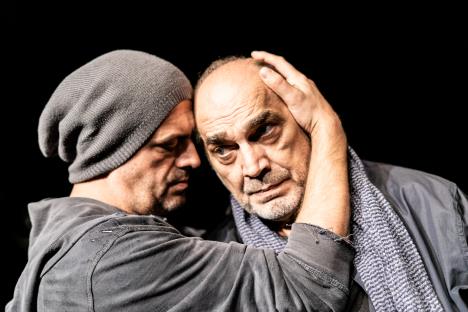 Voja Brajovic foto Nikola Vukelić.jpg