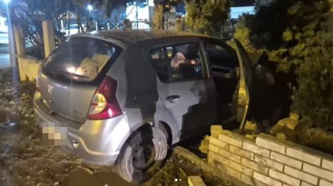 Novi Sad saobraćajna nesreća