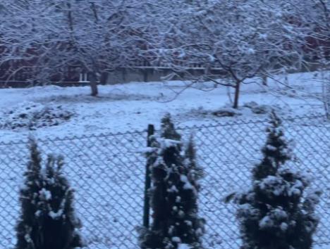 Screenshot 2025-11-27 102518.jpg