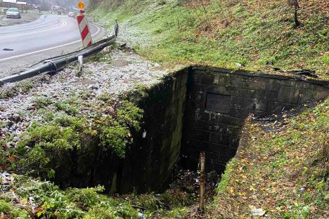 Ana Radović Međuvršje Čačak