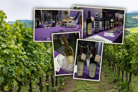 vinarije fruška gora Bermet