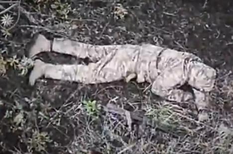 Screenshot 2025-11-30 135429.jpg