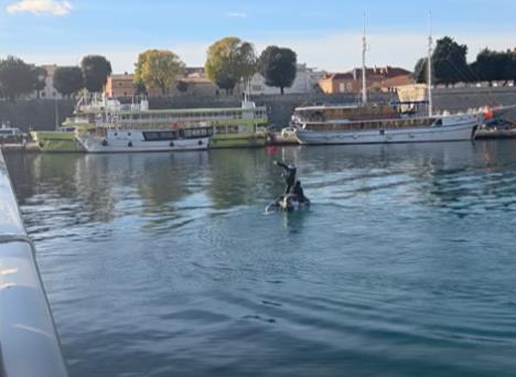 Screenshot 2025-11-30 144345.jpg