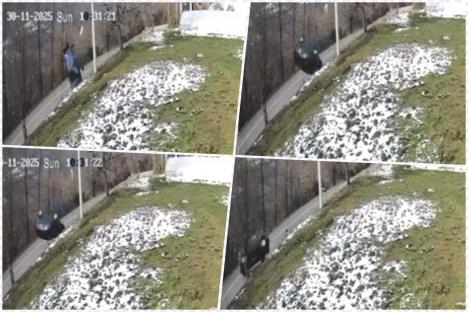 Jeziv snimak iz Novog Pazara Novi Pazar nesreća