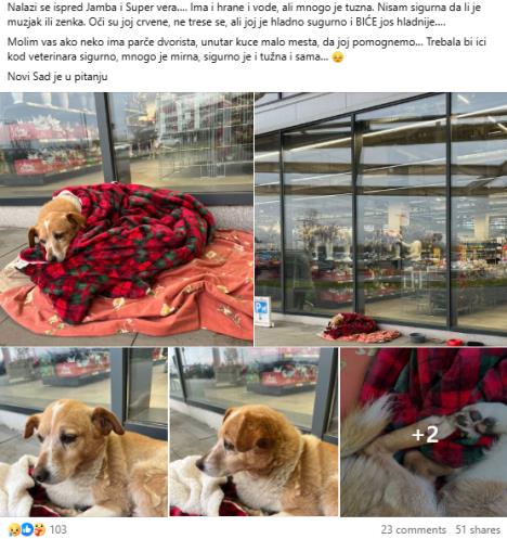 Screenshot 2025-12-01 092118.jpg