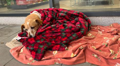 Screenshot 2025-12-01 092143.png