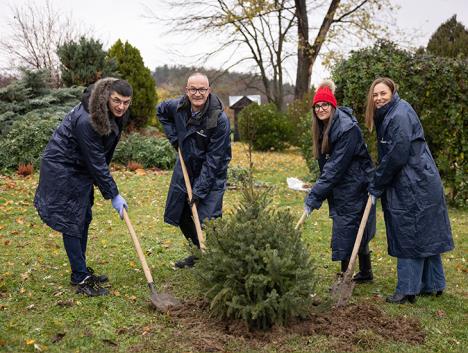 02-730x550-01 copy 3.jpg