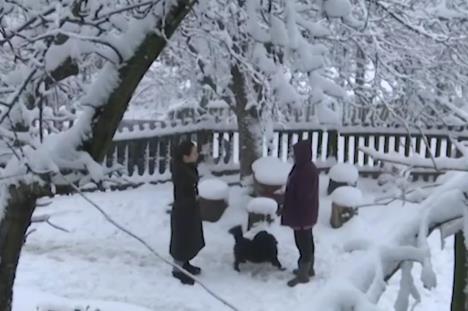 Screenshot 2025-12-01 161459.png