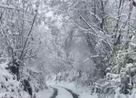 Screenshot 2025-12-01 161513.png