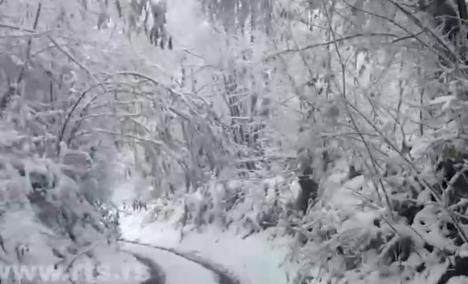 Screenshot 2025-12-01 161517.png