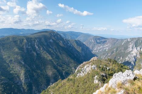 17646076631605091225Национални парк Тара Јавно предузеће Бајина Башта - СРБИЈА Н.jpg