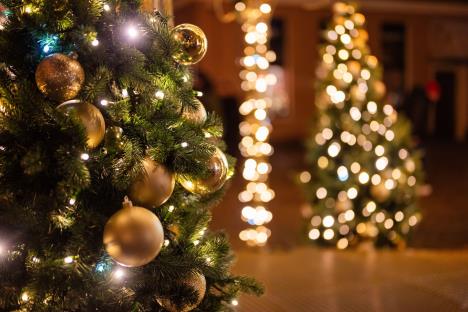 novogodišnja jelka, ukrasi